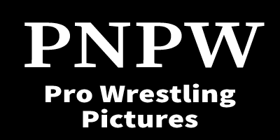PNPW Pro Wrestling